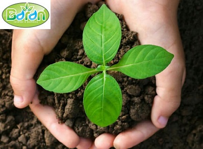 فروش کود هیومیک