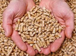 کود مرغی در باغات پسته