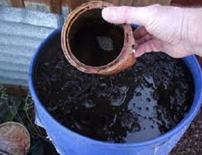 زمان مصرف کود مایع مرغی