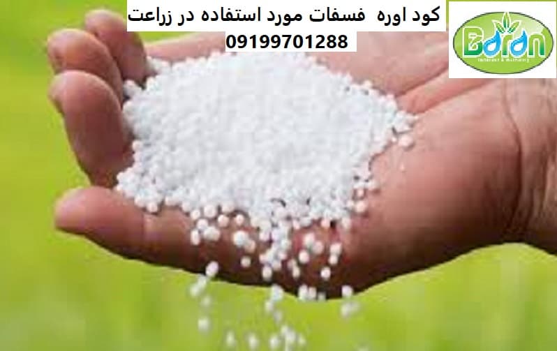 کود اوره فسفات برای درختان پسته