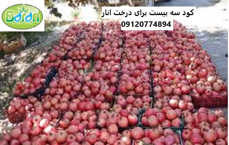 مصرف کود سه بیست برای درختان میوه