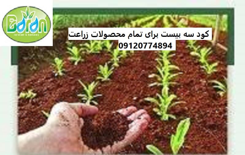 مصرف کود بیست بیست برای درختان میوه