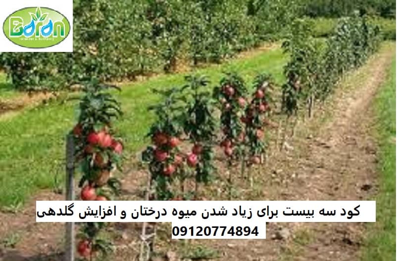 فروش عمده کود بیست بیست