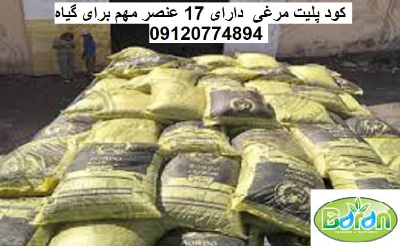 فروش کود مرغی پلیتی در سراسر ایران 