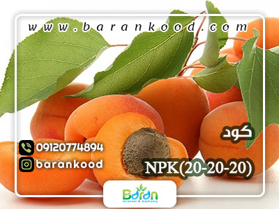 کود کامل NPK سه بیست 20-20-20