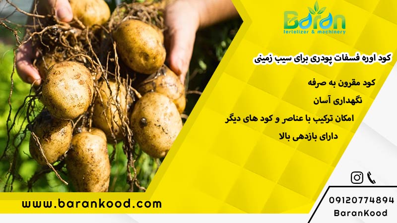 کود اوره فسفات