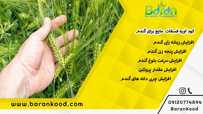کود اوره فسفات