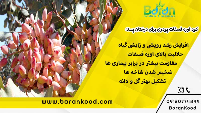 کود اوره فسفات