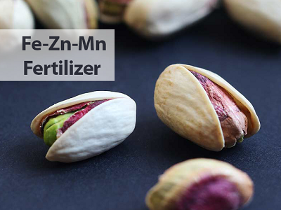 کود سولفات روی