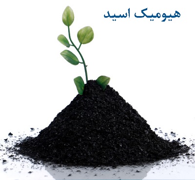 کود هیومیک اسید پودری