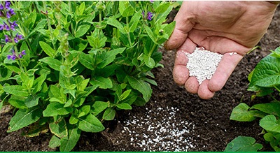 کود اسید امینه