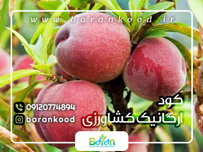 کود ارگانیک کشاورزی