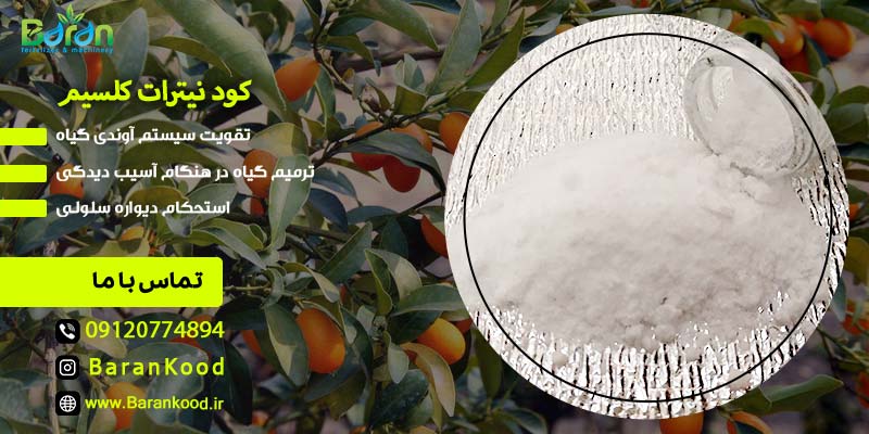  کود نیترات کلسیم