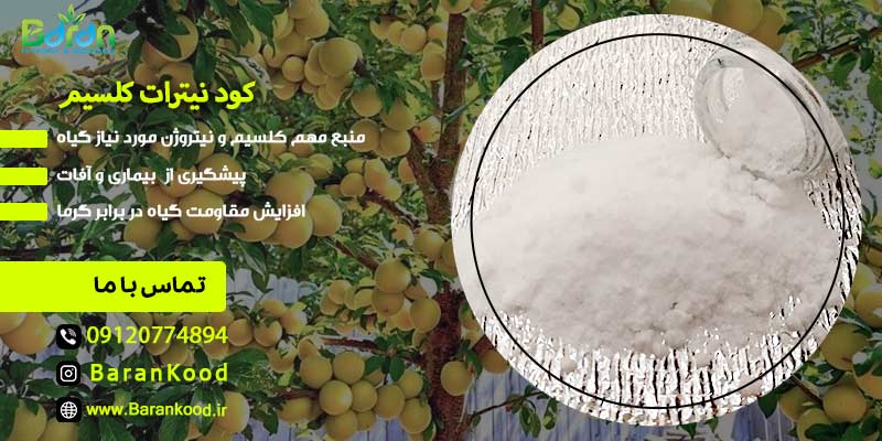 کود نیترات کلسیم 