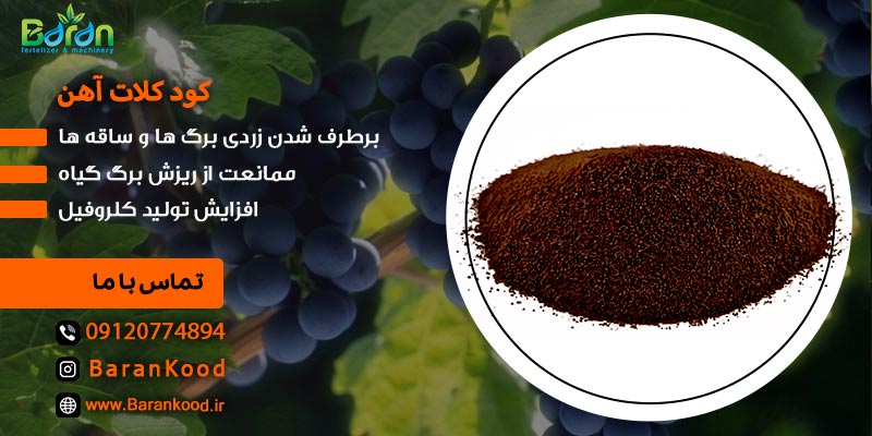 کود کلات آهن