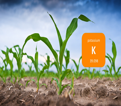 کود سولوپتاس