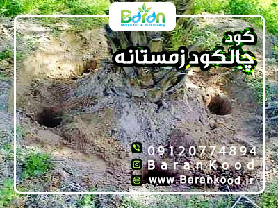 کود مخصوص چالکود