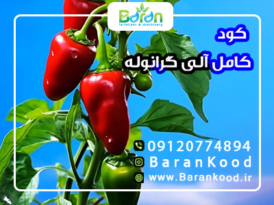 کود کامل آلی