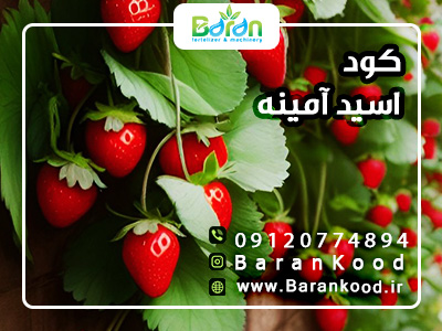 کود اسید آمینه