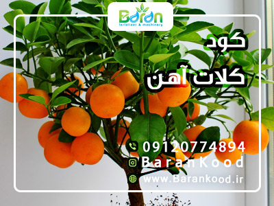 کود کلات آهن
