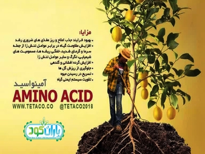 قیمت کود اسید آمینه (پودری و مایع) پخش عمده Amino Acid