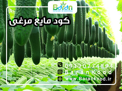 کود مایع مرغی