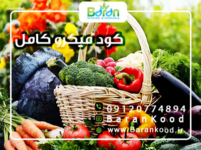 کود میکرو کامل