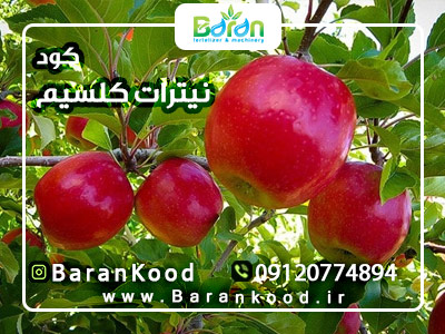 کود نیترات کلسیم