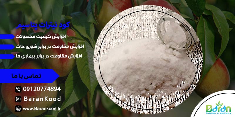 کود نیترات پتاسیم