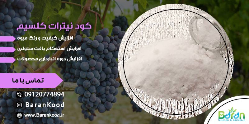 کود نیترات کلسیم