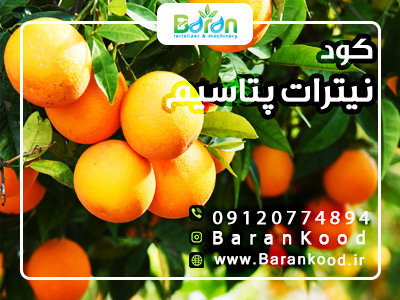 کود نیترات پتاسیم