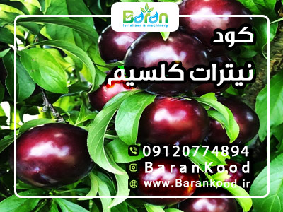 کود نیترات کلسیم