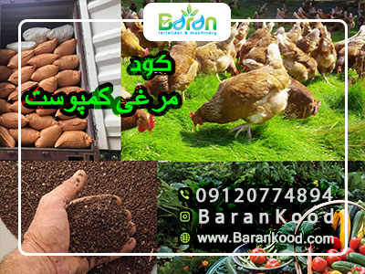 کود مرغی کمپوست