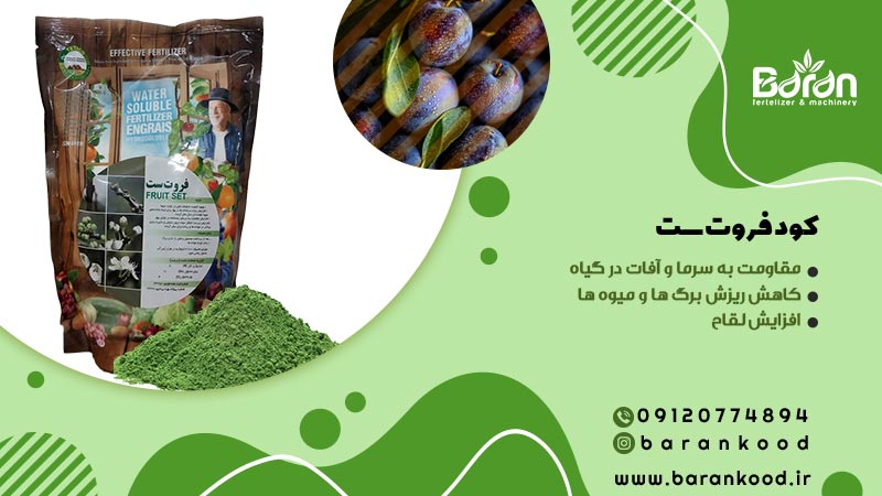 کود فروت ست