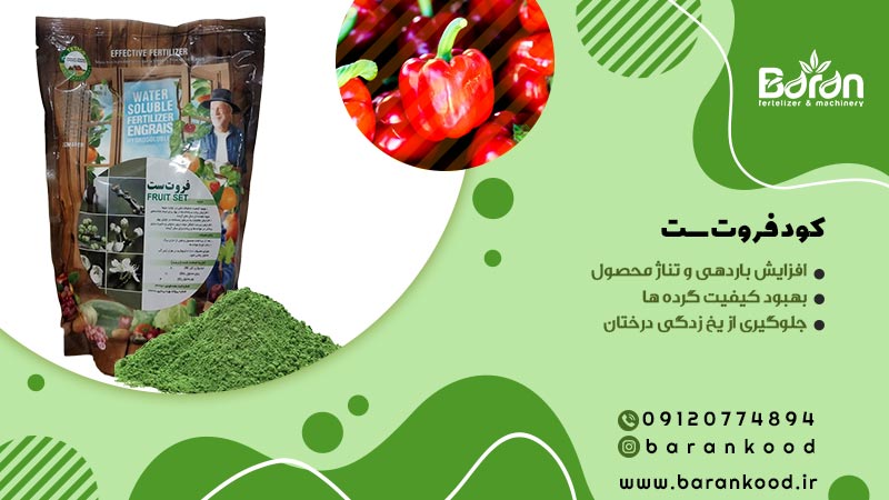 کود فروت ست