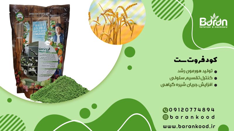 کود فروت ست