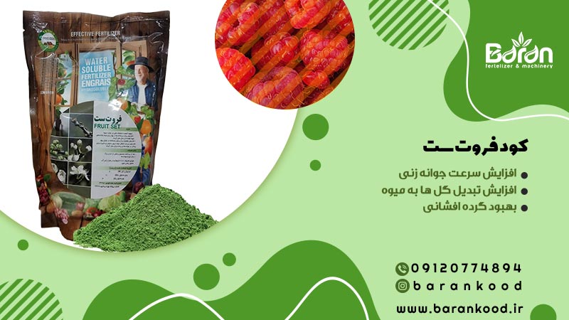 کود فروت ست