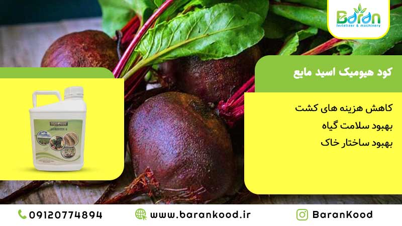 کود هیومیک اسید