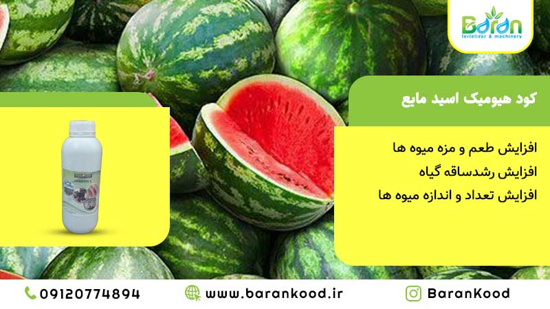 کود هیومیک اسید