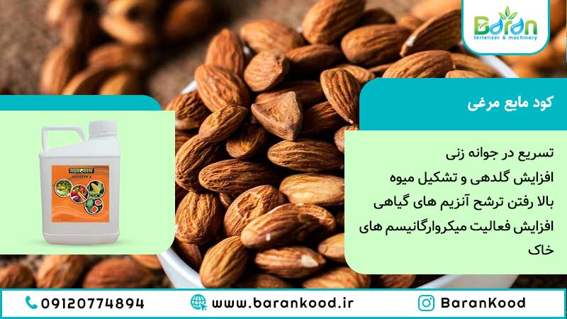 کود مرغی مایع
