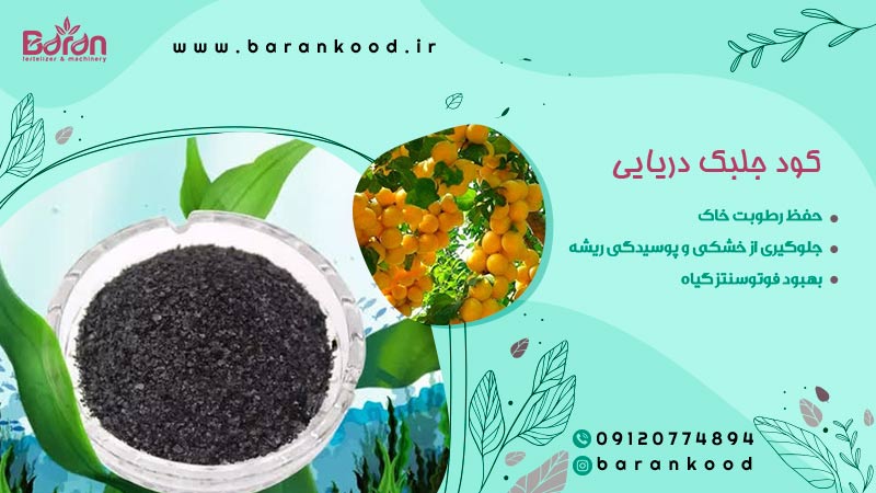 کود جلبک دریایی