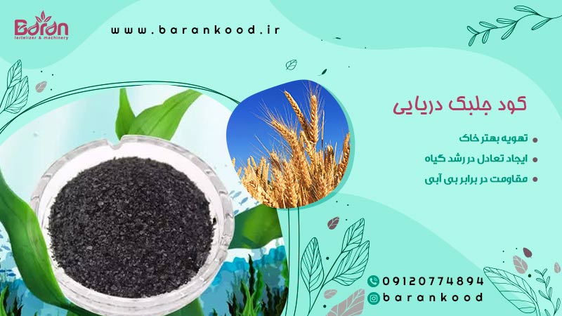 کود جلبک دریایی