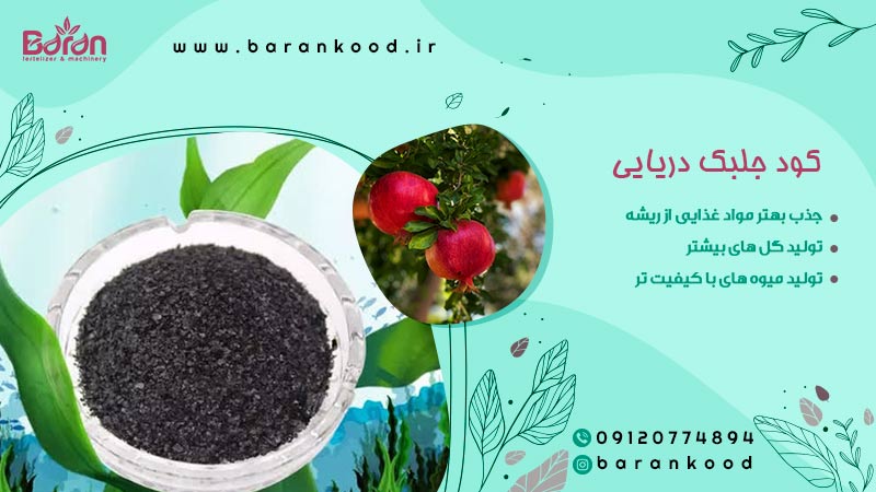 کود جلبک دریایی