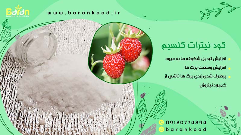 کود نیترات کلسیم
