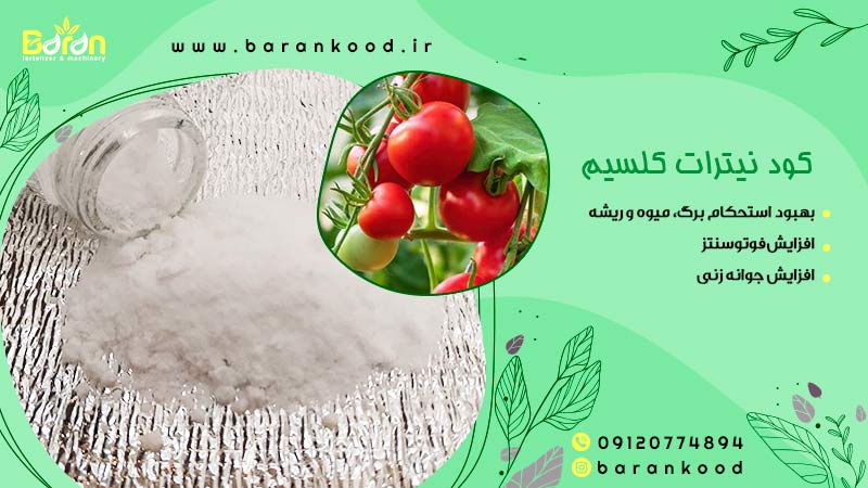 کود نیترات کلسیم