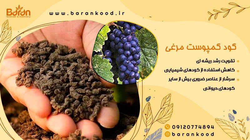 کود کمپوست مرغی