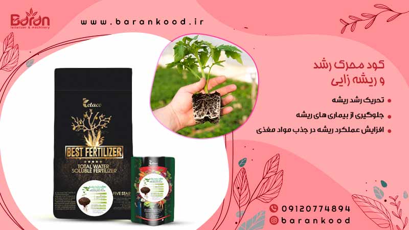 کود محرک رشد و ریشه زایی