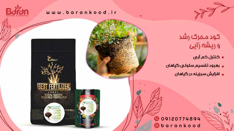 کود محرک رشد و ریشه زایی