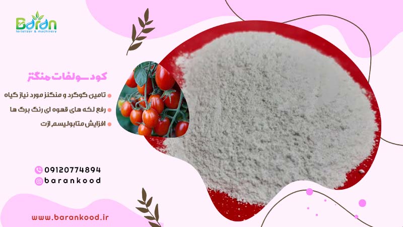 کود سولفات منگنز
