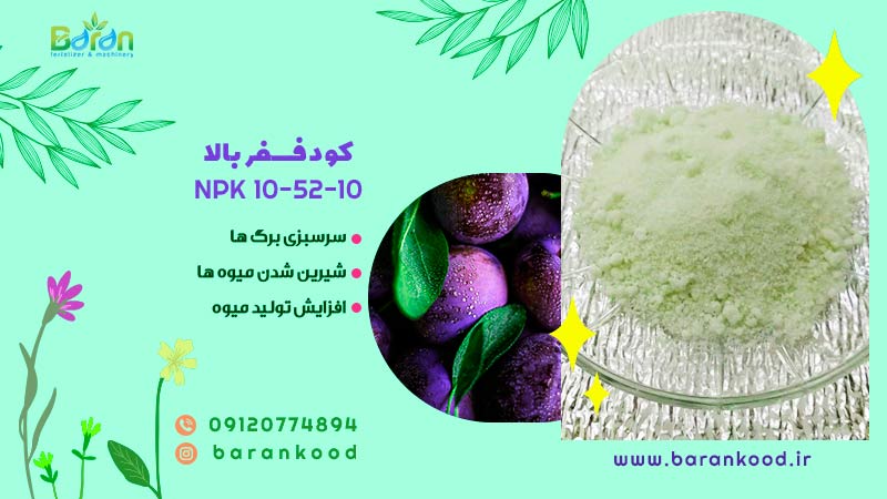 کود فسفر بالا